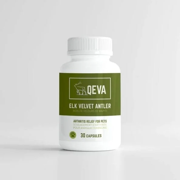 Qeva Elk Velvet Antler 30 Capsules