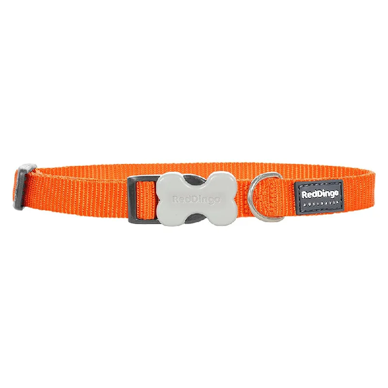 Red Dingo Dog Collar Orange (20mm x 31-47cm)