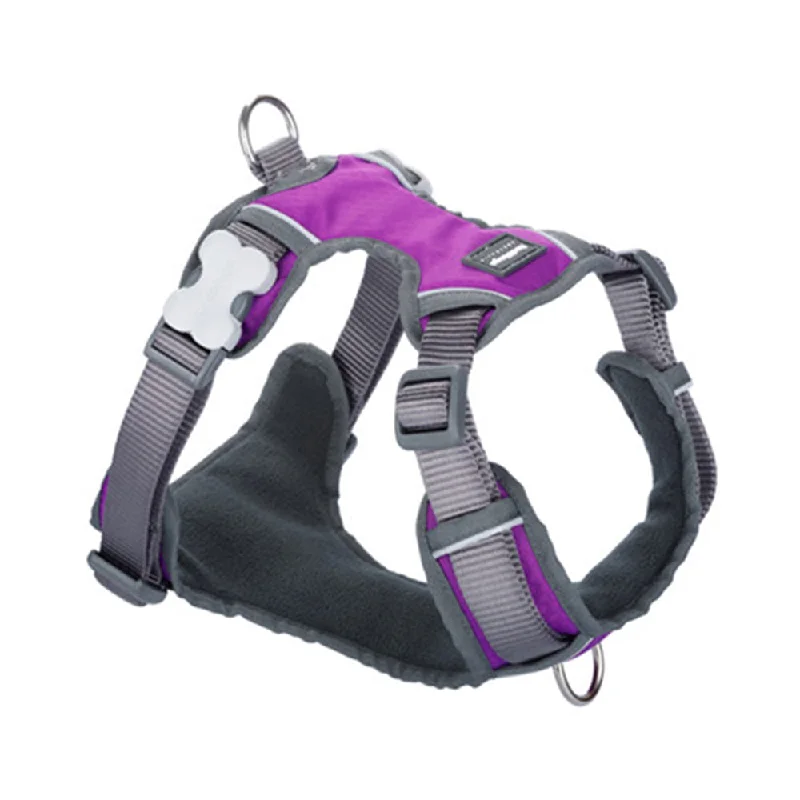 Red Dingo Padded Harness Purple M